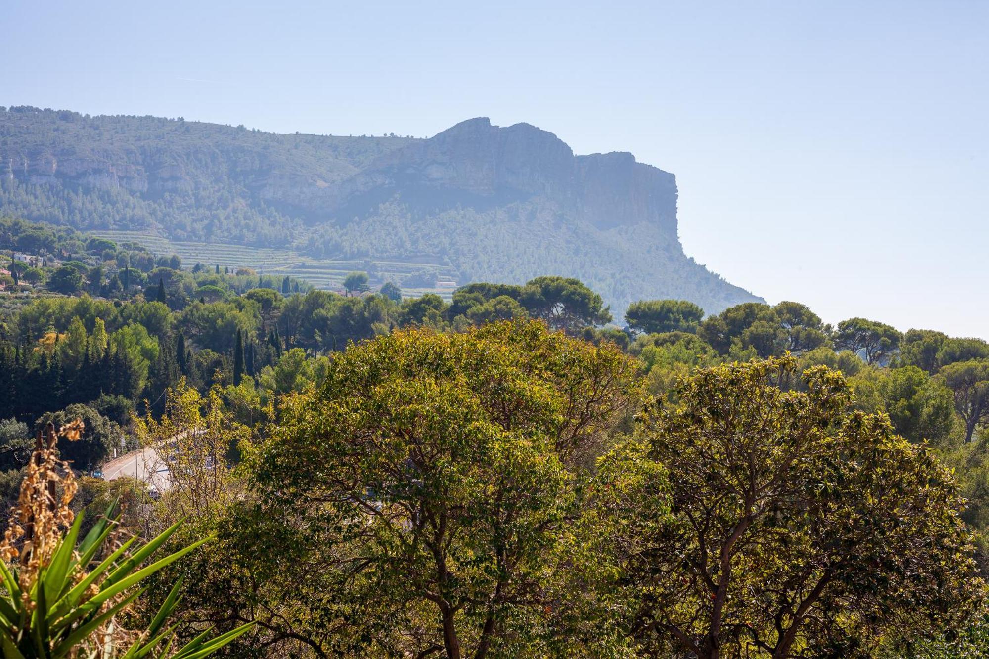 Somptueux Appartement Avec Jardin Cassis Eksteriør bilde